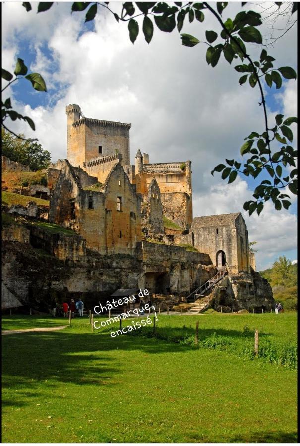 فيلا Chateau De L Herm, Lascaux, Sarlat, En Perigord Noir Rouffignac Saint-Cernin المظهر الخارجي الصورة