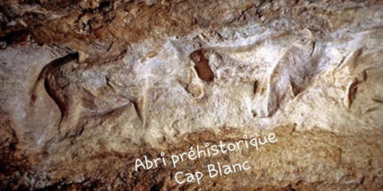 فيلا Chateau De L Herm, Lascaux, Sarlat, En Perigord Noir Rouffignac Saint-Cernin المظهر الخارجي الصورة